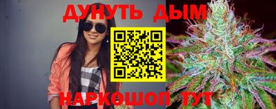 хмурый Новозыбков