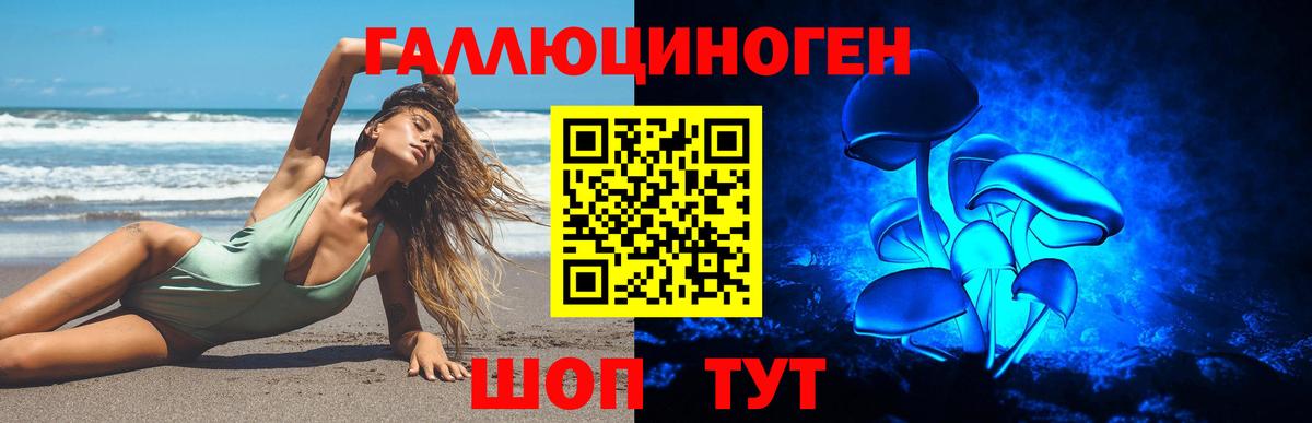 Галлюциногенные грибы Cubensis  Вход с VPN  Соль-Илецк 