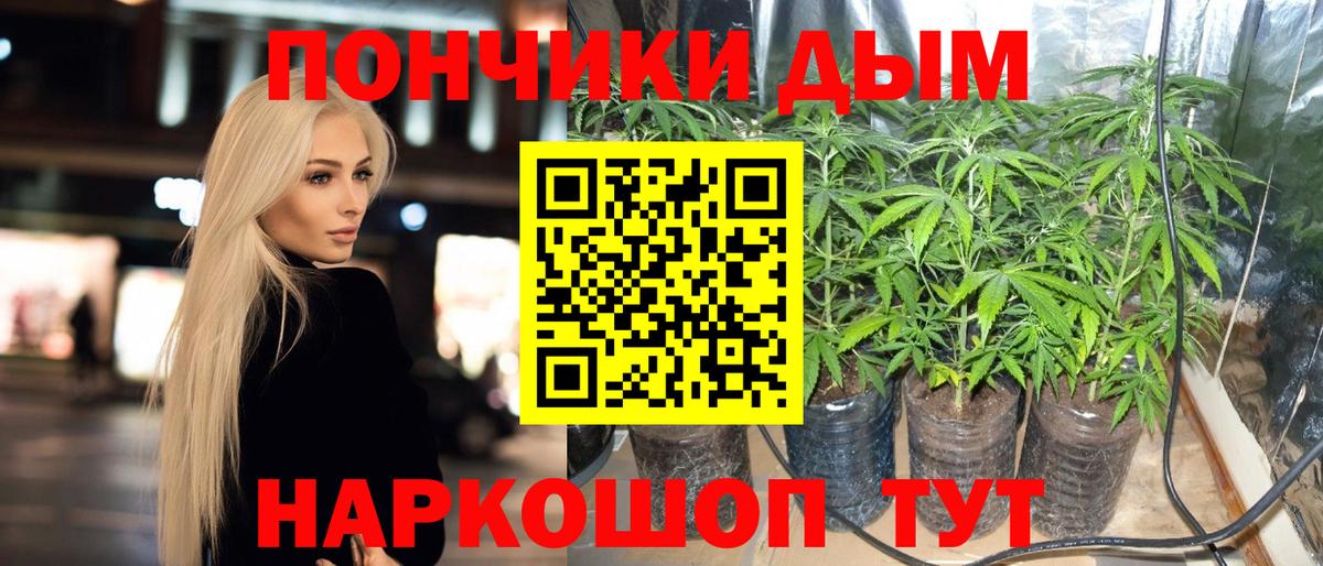 Соль-Илецк  Бошки Шишки Amnesia  Вход с VPN  Шишки марихуана планчик  Канабис конопля 